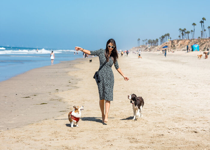 Đi du lịch California cùng cún cưng: Bạn sẽ không thể bỏ qua những bãi biển đẹp này